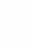 logo-ibs-light.png